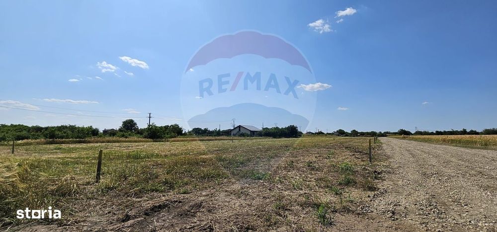 Terenuri intravilane Frumușani – Preț excelent, investiție sigură!