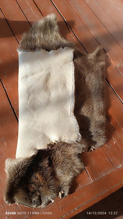 Norka toza chuda chiroyli holata