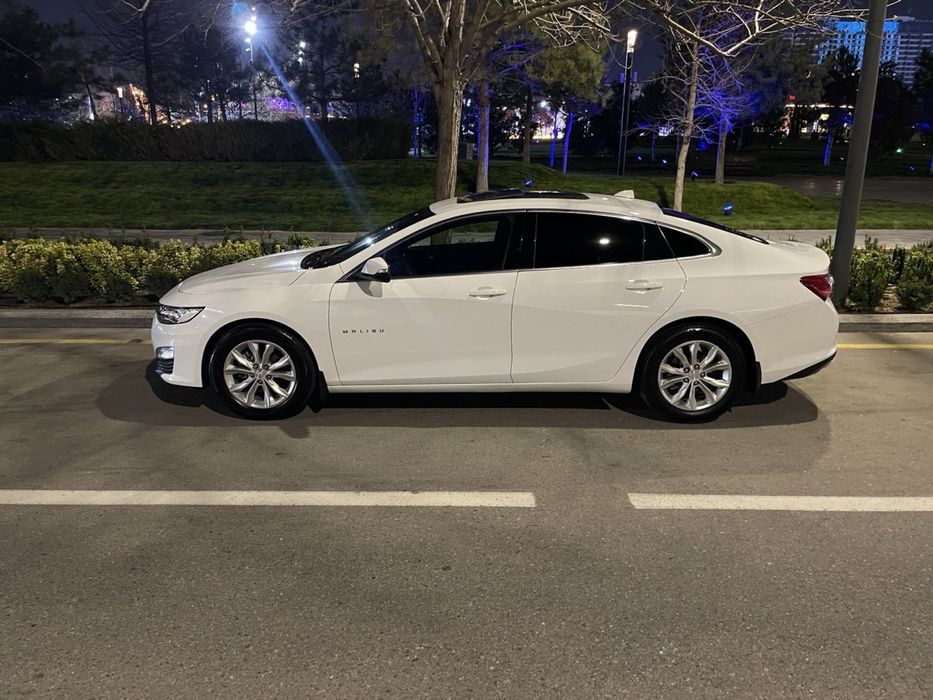 Malibu Premier 2