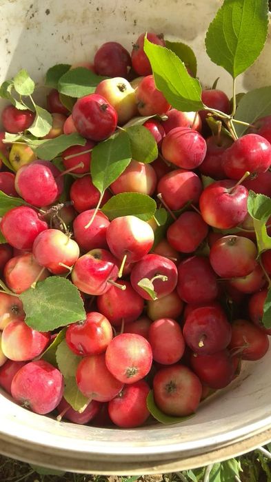 Продаётся  дачный участок п. Деркул