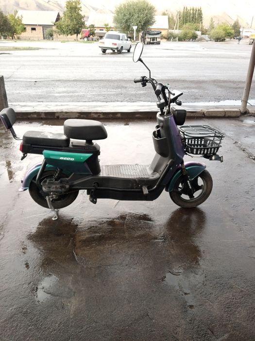 Olganiga bir oy bogan