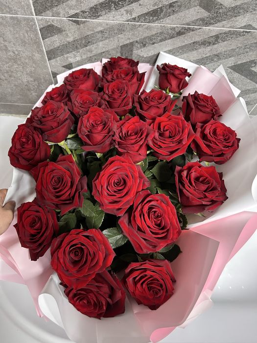 Голландский роза 25 штук