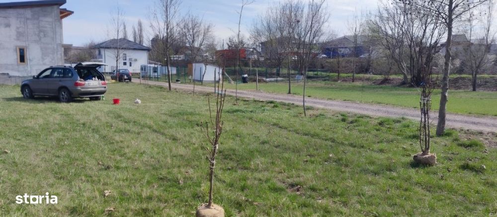 Teren de vanzare,proiect de casa,Cartierul Olandez, Joița, Giurgiu