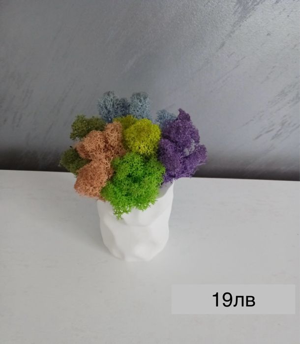 Декоративни кашпи с естествен скандинавски мъх