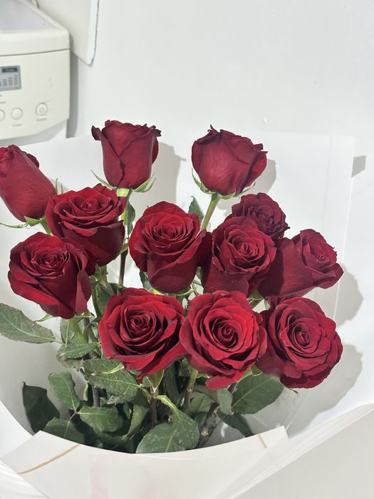 Голландский роза 12 шт