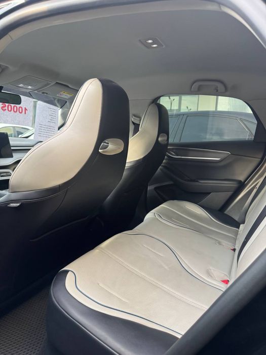 BYD chazor 55km bez lyuk 2024