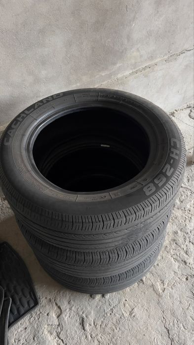 Балон ,автошина .