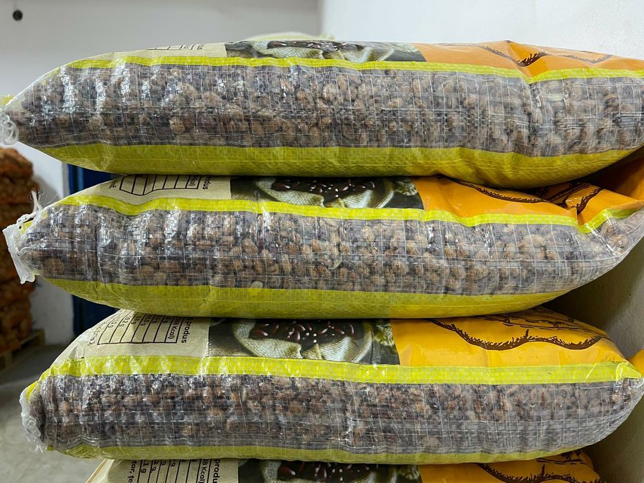 Fasole pestriță pestrita