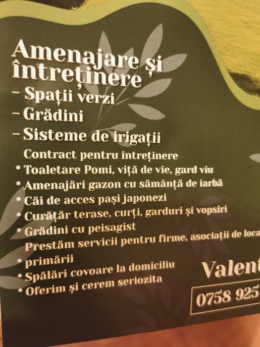 Amenajare și întreținere spatii verzi
