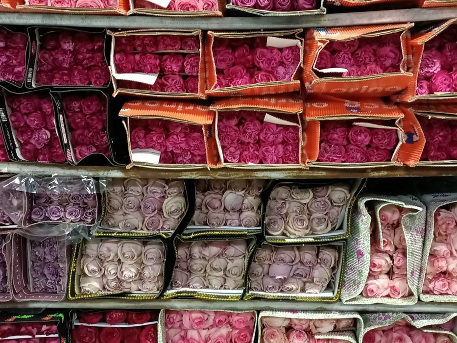 Оптом и в розницу розы