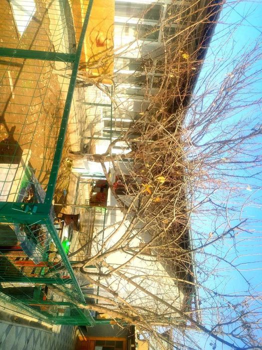 ТТЗ атрофида Ховли сотилади 4 хона 4.2 сотик ! ТТЗдан 2 км Кадирлик