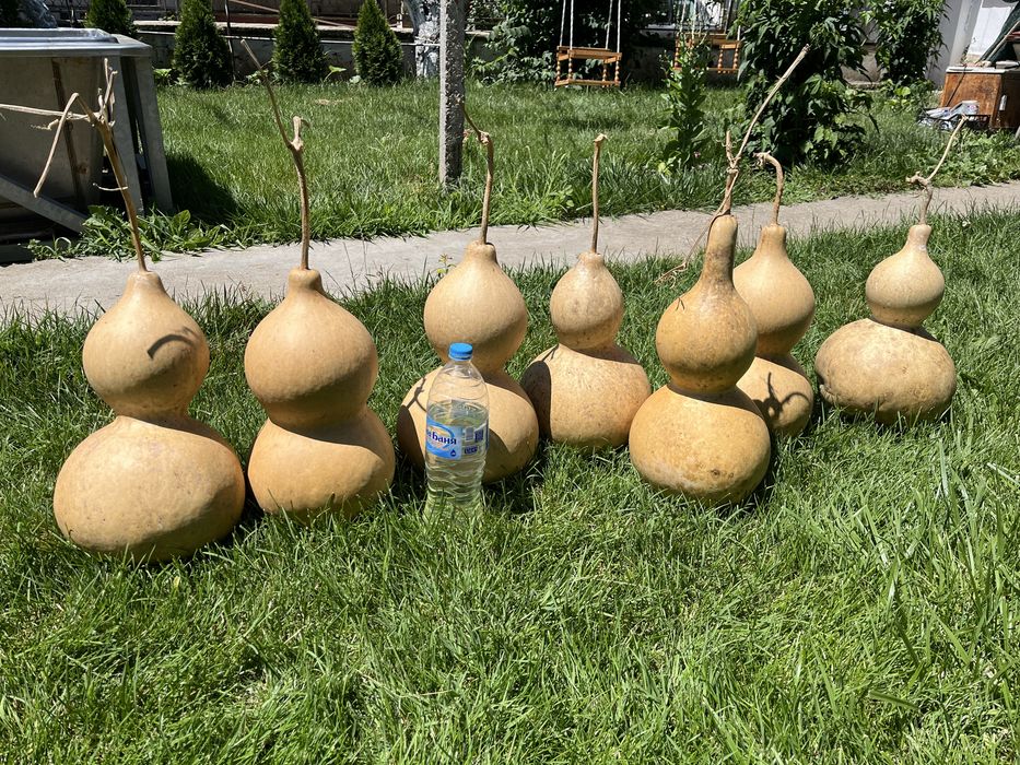 Кратуни различни по големина
