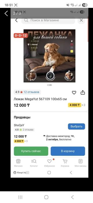 Принадлежности для собаки