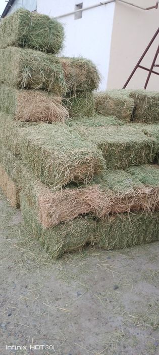 Беда прес сотилади оптом