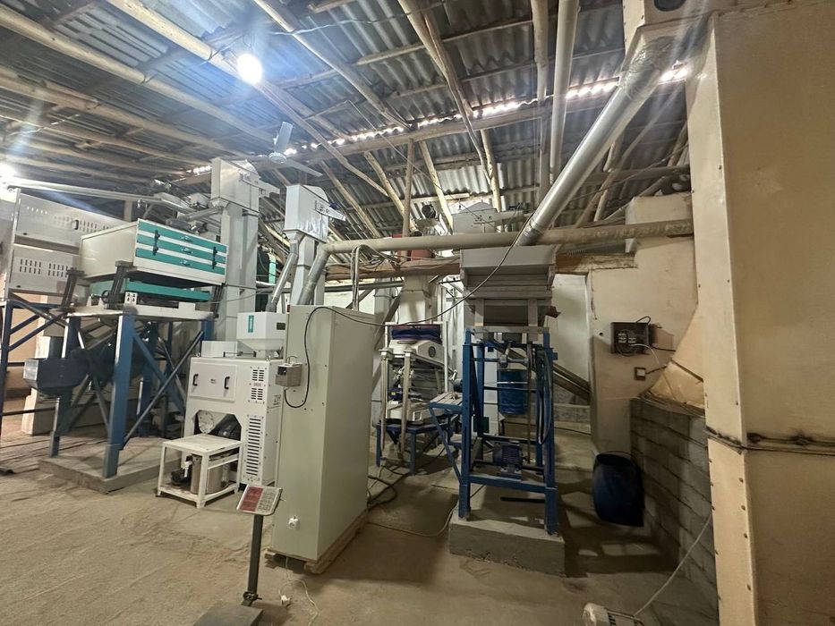 Sholi tegirmon zavod