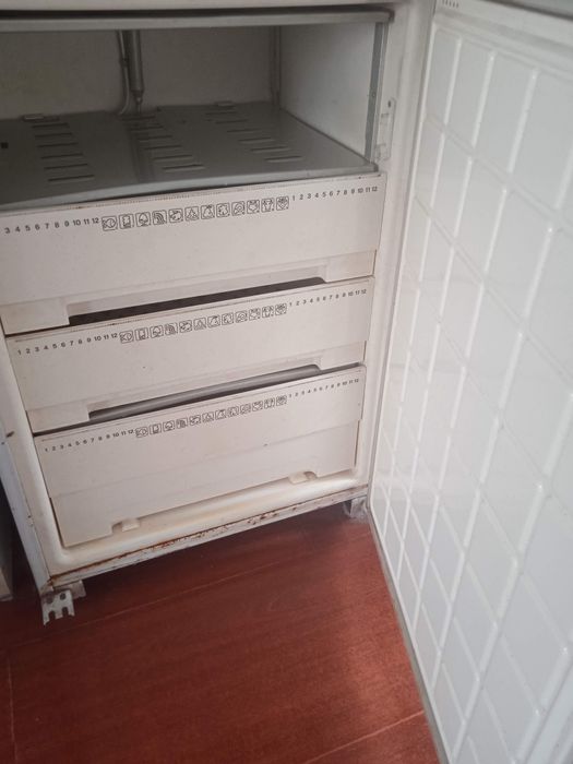 Морзиьник бирюса