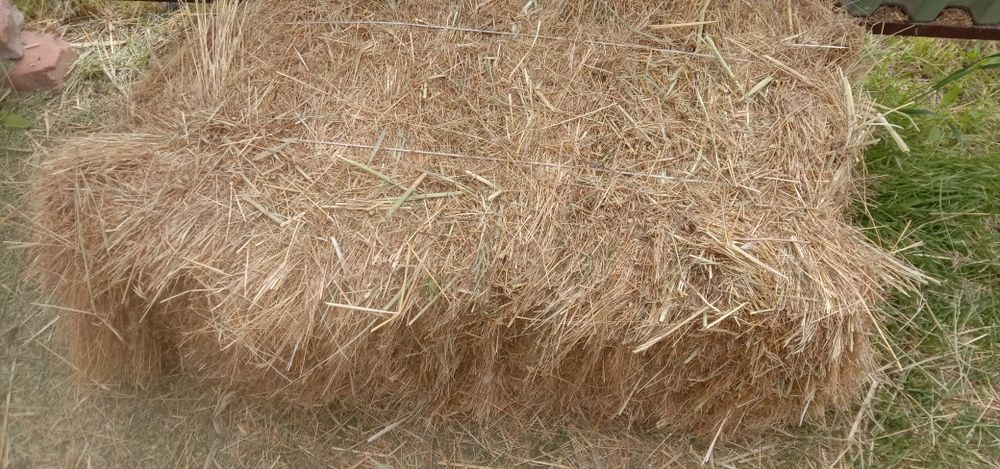 Шоп сатылады багасы 1300 тг