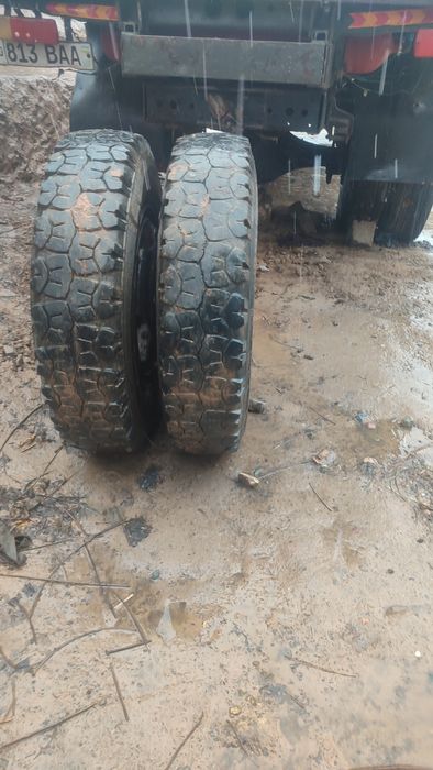 Zel Deska bolan  6dona