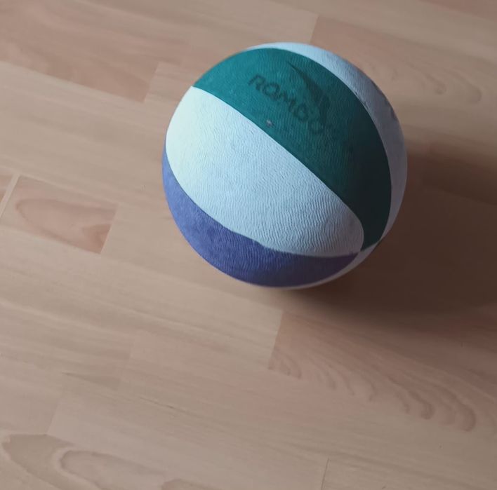 Minge de baschet si plasa pentru cosul de baschet