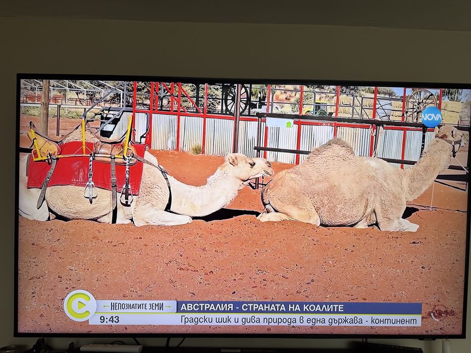 Samsung QE55Q60AAUXXH – 55” QLED 4K Smart TV