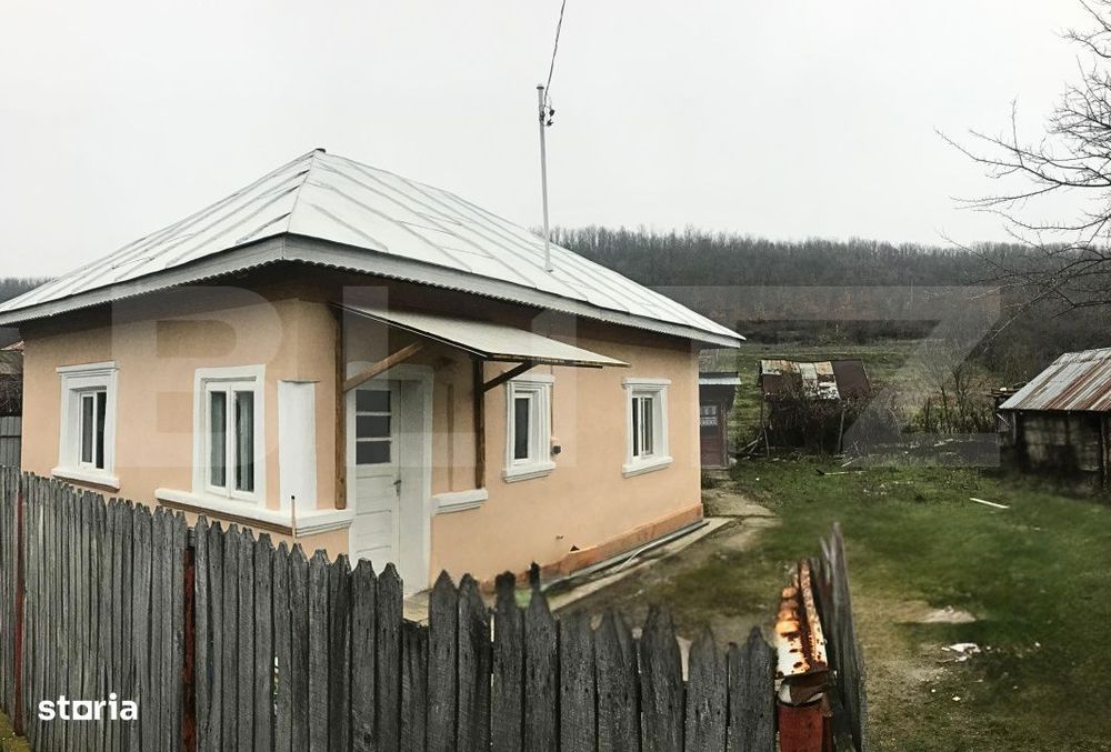 Casa + Teren - 1.724 mp Parcelat de vanzare – Valea Mare, Dambovita
