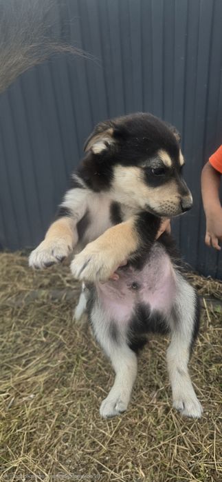 Чудеснейшие мальчики и девочки