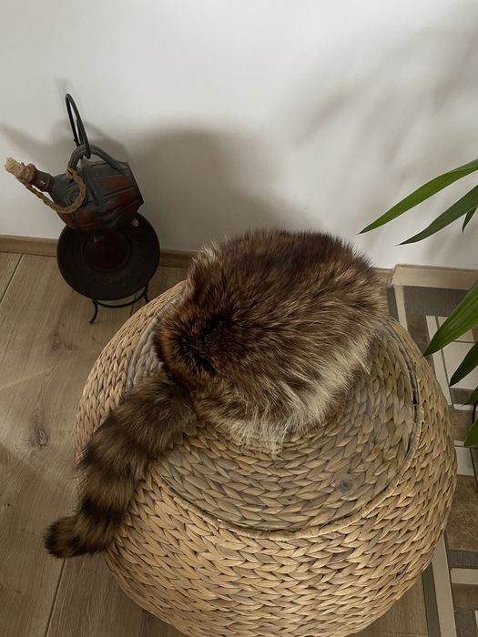 Caciula din blana naturala. Unisex masura 56-57.