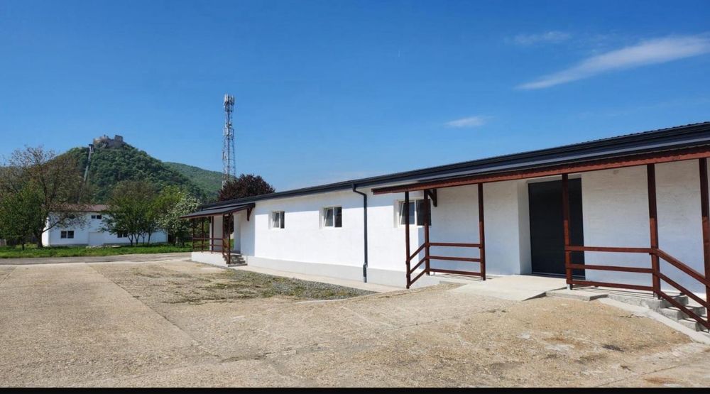 Hala industriala cu platforma betonata - productie/depozitare