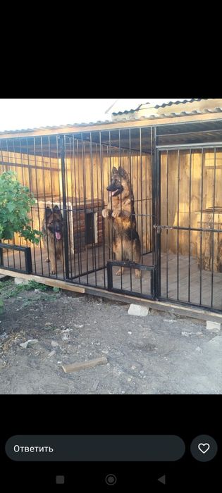 Вольеры для собак