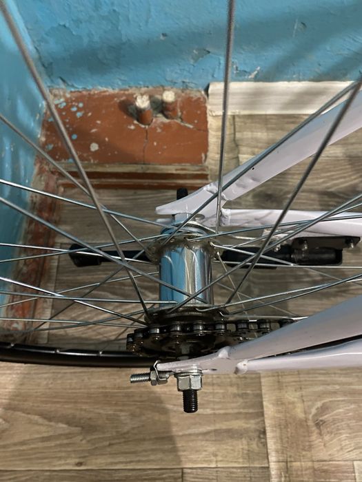 Singlespeed Axion Ghost