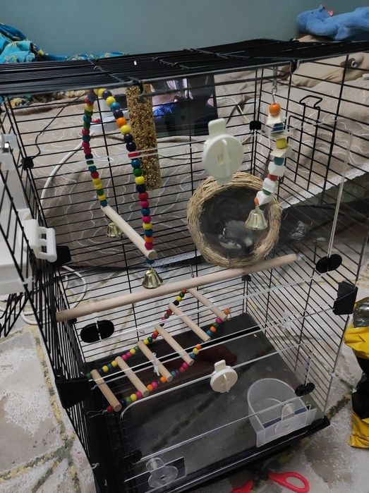 Клетка для птицы