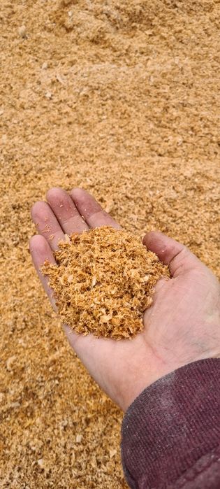 Rumegus pentru afumat