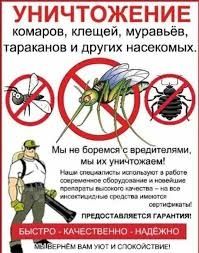 Дезинфекция клопов клапа от тараканов 24/7 Дизинфексия