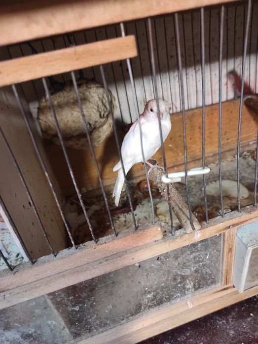 Продам клетки ручной работы