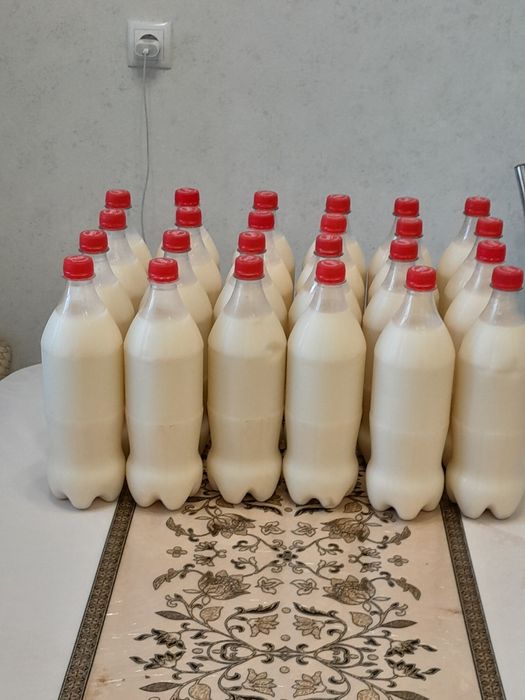 Шудың таза қымызы