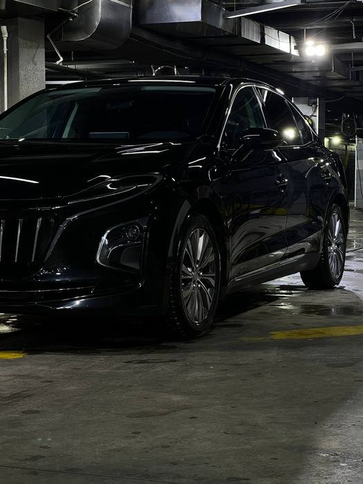 Hongqi honji eqm5
