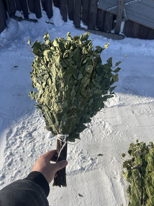 Банные березовые веники