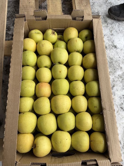 Яблоки(Алмата) не Польша