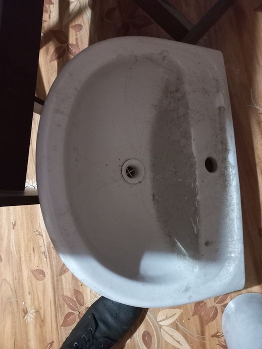 Продам тюльпан б/у,2 шт