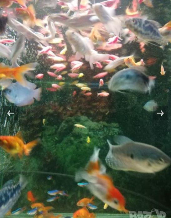 Продавам нови аквариуми и асесоари