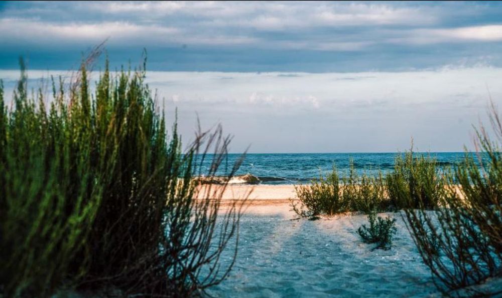 Teren cu vedere la mare la Corbu