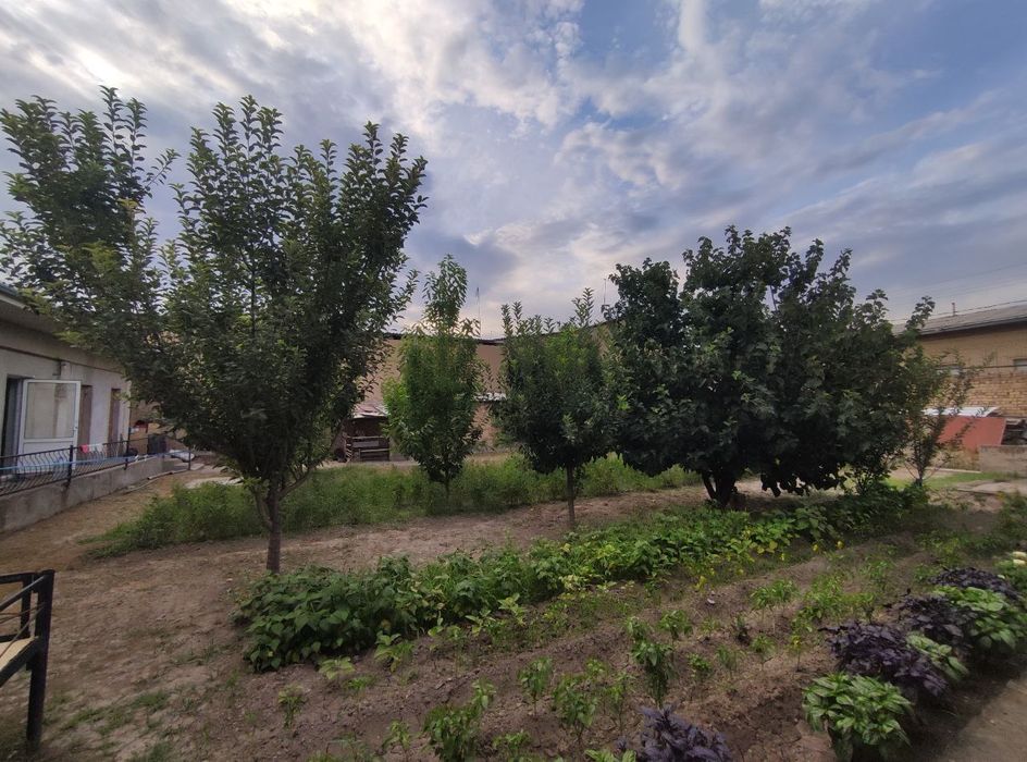 6 сотих участка 3 сотиги хам сотилиши мумкин