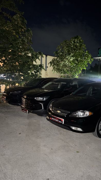 Rent a car safo