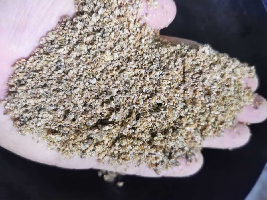 Daphnia la kilogram, Purec Uscat de balta