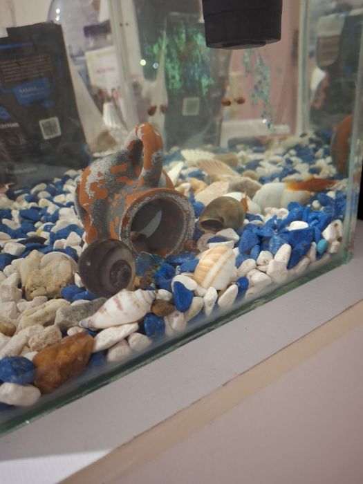 Аквариум с рыбками