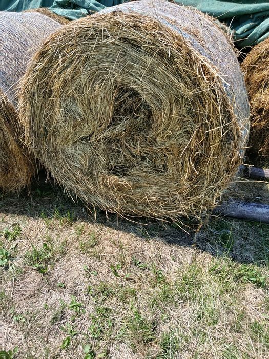 Baloți de fân și de lucernă,coasa 1 ,2,3 !