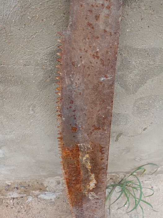 Ағаш ара сатылады срочна