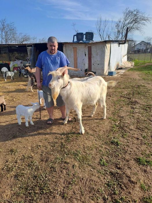 Vind tap sanem de doi ani