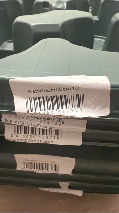 Новые кассеты для рассады