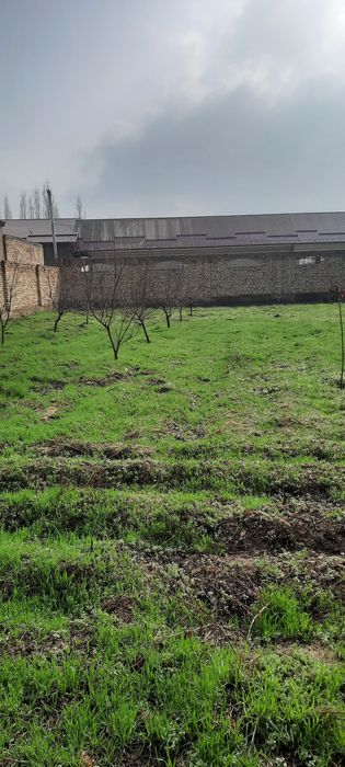 Нурафшон шахрида 8 сотихлик ер сотилади